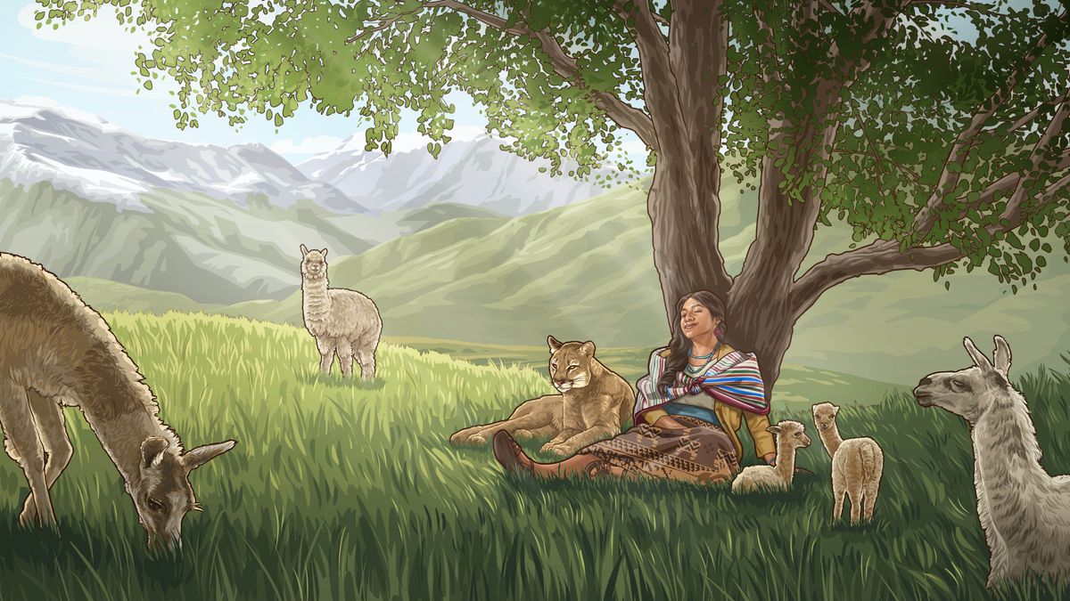 A sister in Paradise, sitting with lison a mountain lion under a tree while young and mature llamas graze nearby.