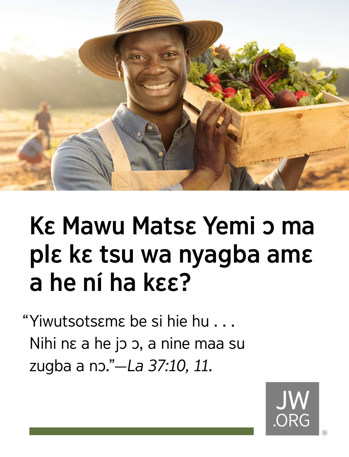 Ngmɔ hulɔ ko nɛ e kɛ bua jɔmi ya kpa ngmɔ ní.