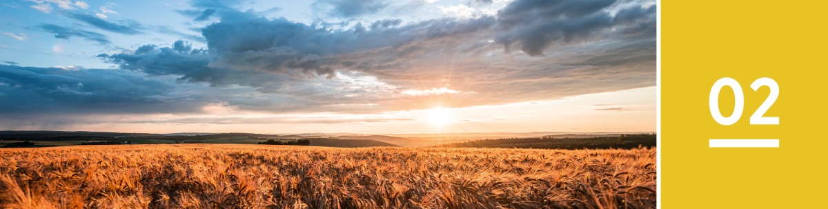 Ni Kasemi 2. Pu ɔ kpɛ kɛ pue wheat ngmɔ ko nɔ.