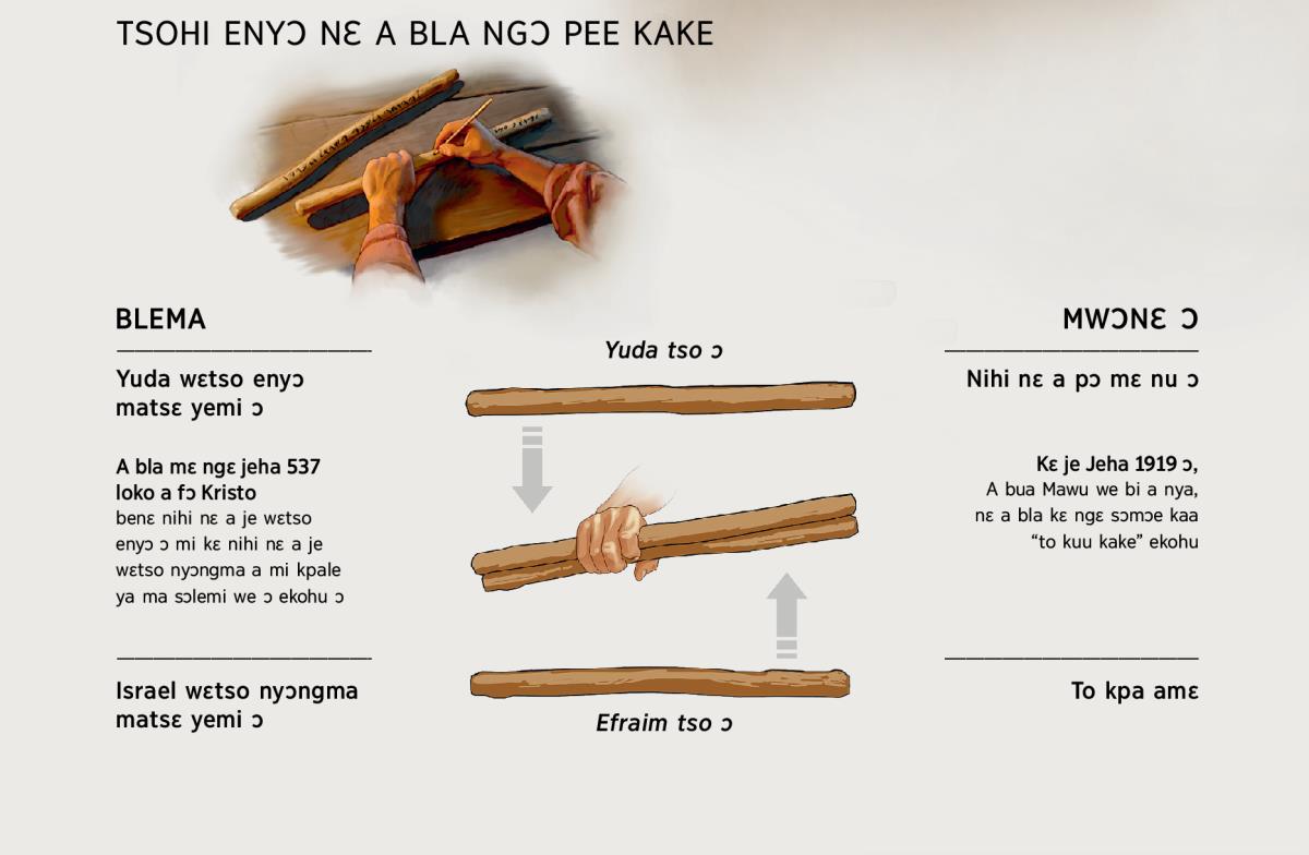 Tso enyɔ nɛ a bla pee kake—blema kɛ mwɔnɛ ɔ