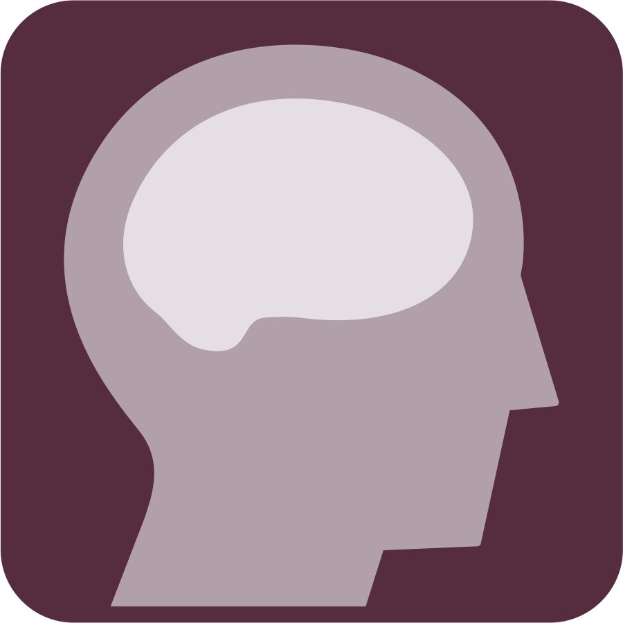 El cerebro de un ser humano