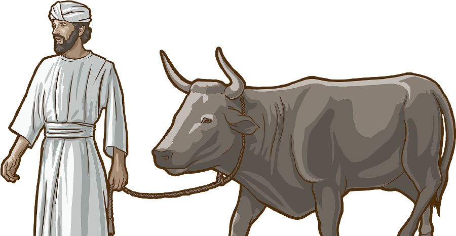 Un israelita llevando un toro