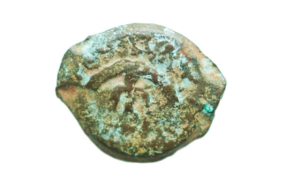 Լումա (ղեպտոն)