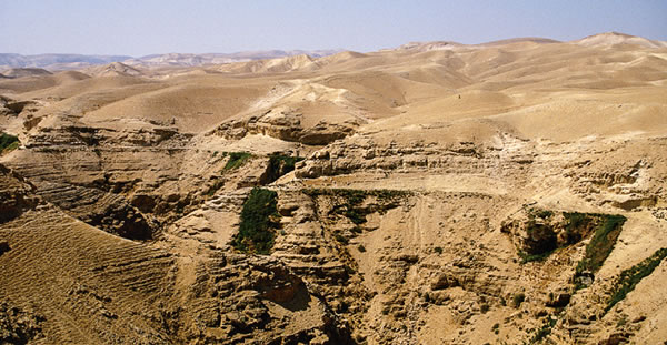 Հրեաստանի անապատ