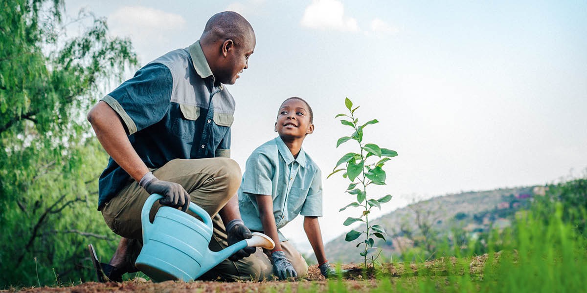 ’n Pa help sy seun om ’n plant nat te gooi