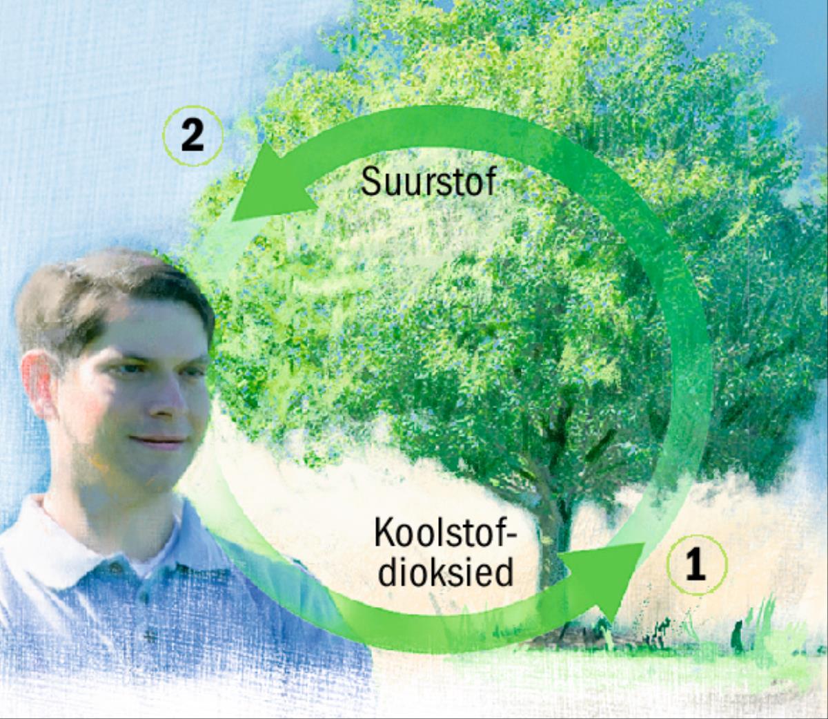 Koolstofdioksied- en suurstofkringlope