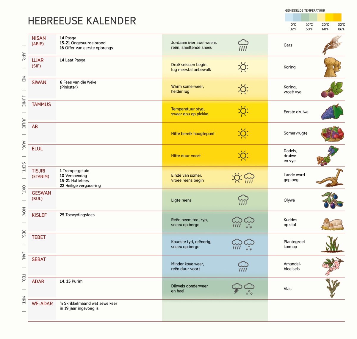 ’n Tabel van die Hebreeuse kalender met maande, feeste en vieringe, weerstoestande en gewasse.