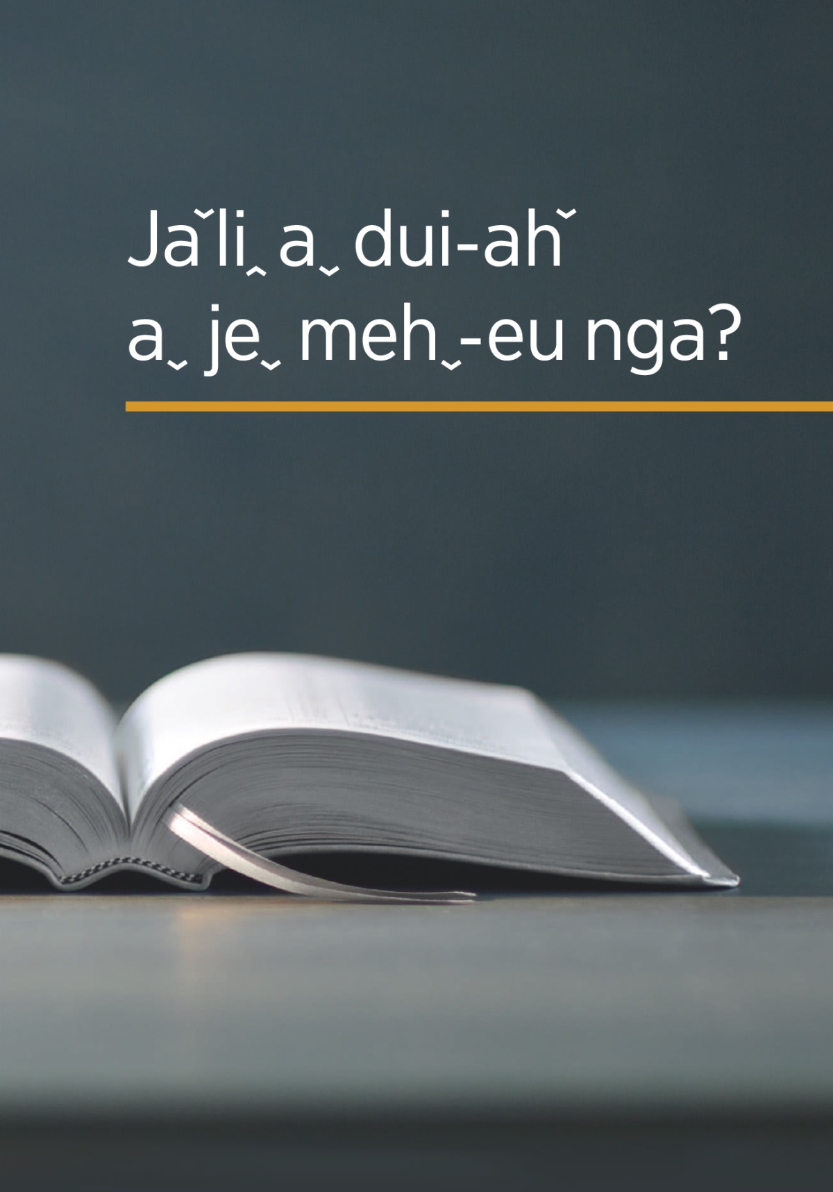 ‘Jaˇliꞈ aˬ dui˗ahˇ aˬ jeˬ mehˬ˗eu nga?’ lehˇ ehˇ˗eu paˇ dmˬ˗euˬ sahˬ boꞈ baˆ kʼoˆ.