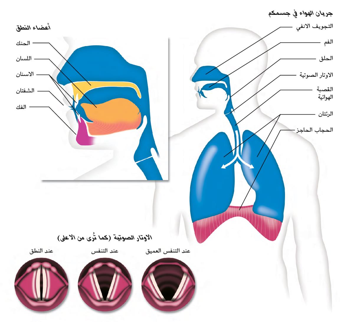الرسوم في الصفحة ١٨٣