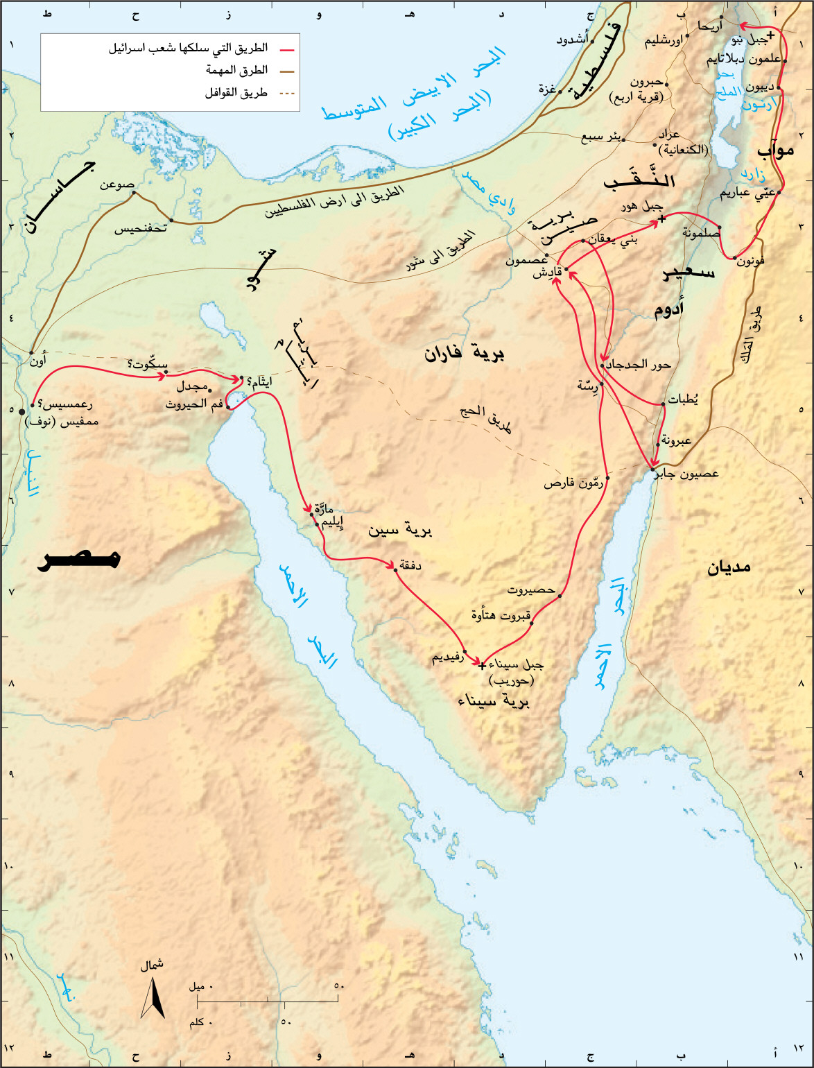 طريق الخروج