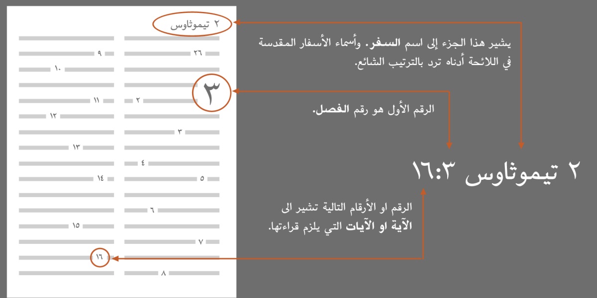 توضح الصورة كيف يمكن إيجاد الآيات في الكتاب المقدس،‏ مثلًا ٢ تيموثاوس ٣:‏١٦.‏ تشير «٢ تيموثاوس» إلى اسم السفر في الكتاب المقدس (‏انظر اللائحة أدناه التي تعدِّد أسفار الكتاب المقدس بالترتيب الشائع)‏.‏ الرقم الأول هو رقم الفصل،‏ مثلًا الفصل ٣.‏ والرقم أو الأرقام التالية تشير إلى الآية أو الآيات التي يلزم قراءتها،‏ مثلًا الآية ١٦.‏