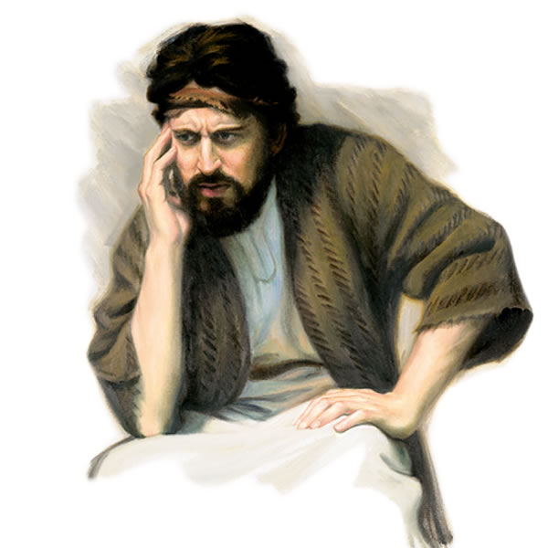 الصورة في الصفحة ١٧