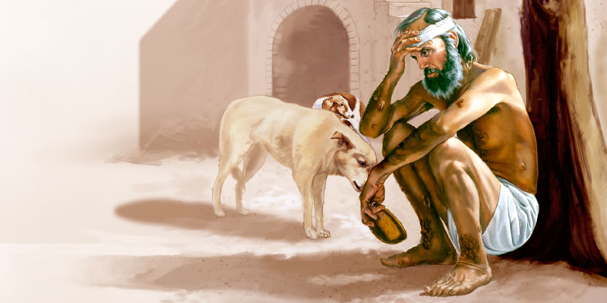 كلب يلحس قروح لعازر