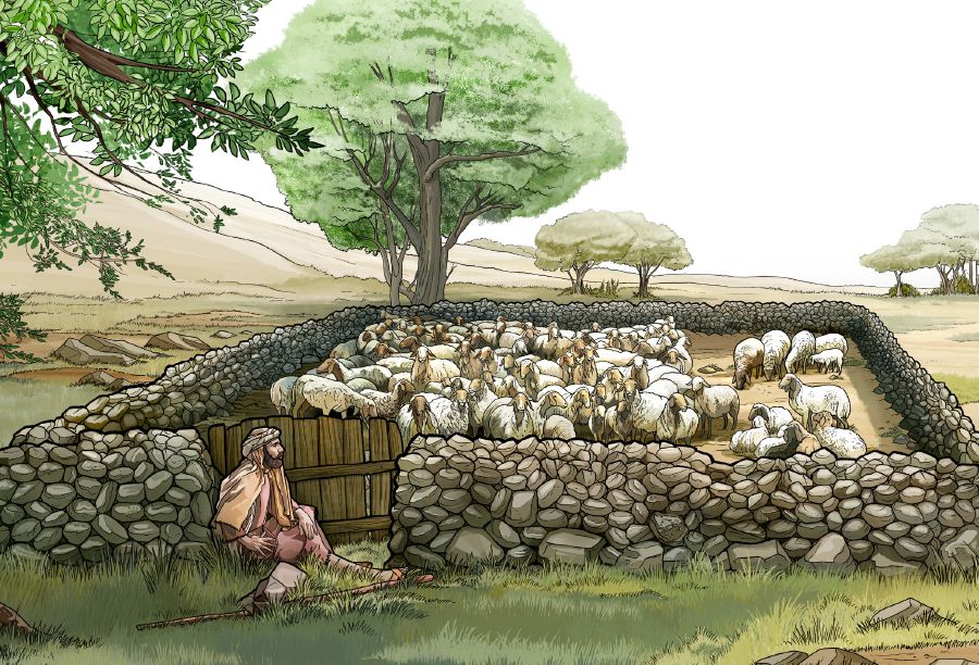 راع يحرس باب حظيرة خراف