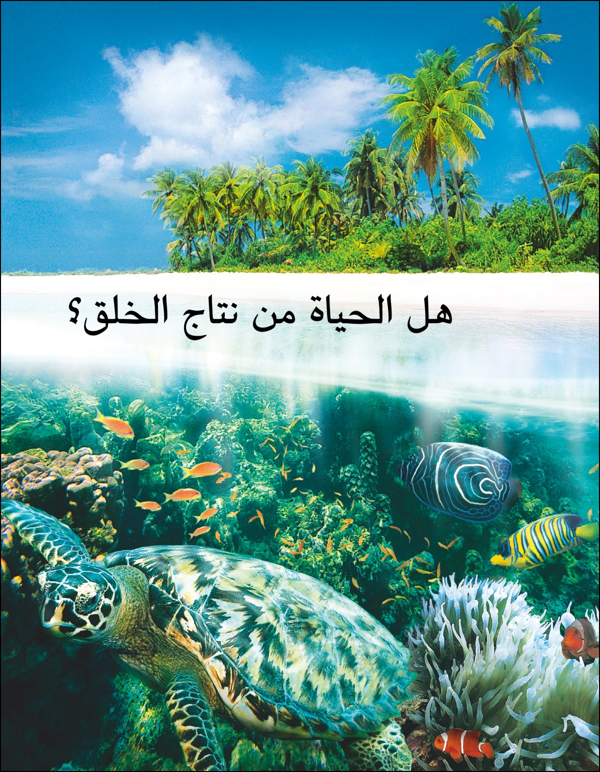 كراسة «هل الحياة من نتاج الخلق؟‏»‏