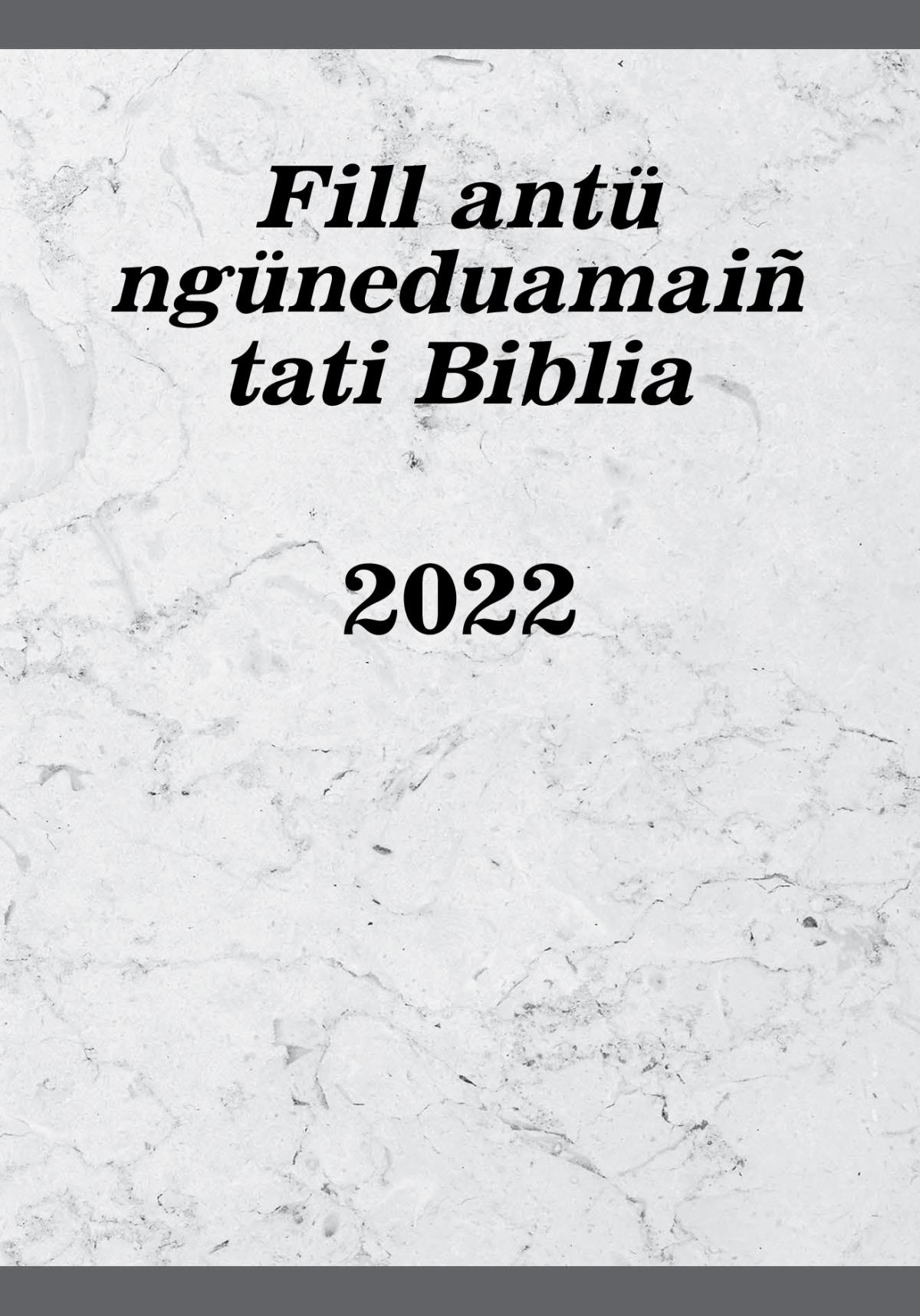 Fill antü ngüneduamaiñ tati Biblia (2022)