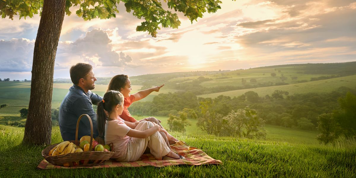 A family looking at a beautiful landscape while they enjoy a picnic.
