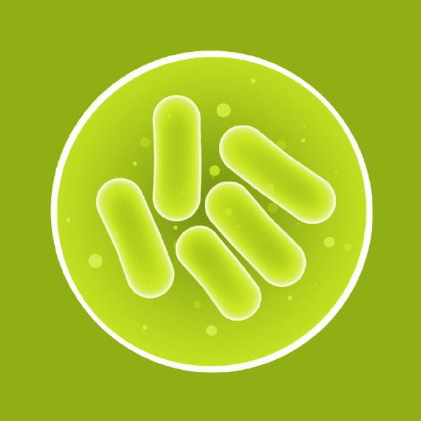 Bacterianaka