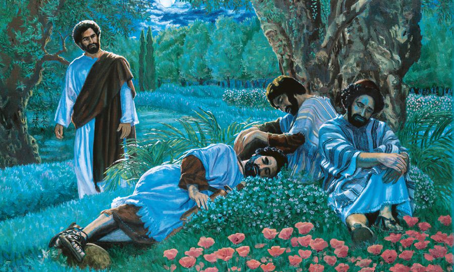 Иса Петери, Јагубу вә Јәһјаны Ҝетсемани бағында јатмыш вәзијјәтдә тапыр