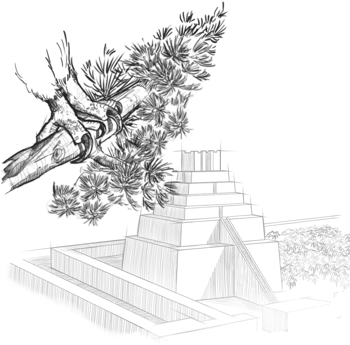 Гартал сидр ағаҹынын зоғуну ҹајнағында Бабилә апарыр.