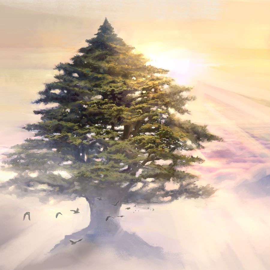 Гушлар мөһтәшәм сидр ағаҹынын әтрафында учушур.