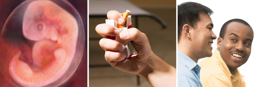 1. ana bətnindəki uşaq; 2. Bir nəfər siqaret qutusunu əzir; 3. Milliyəti fərqli olan iki dost