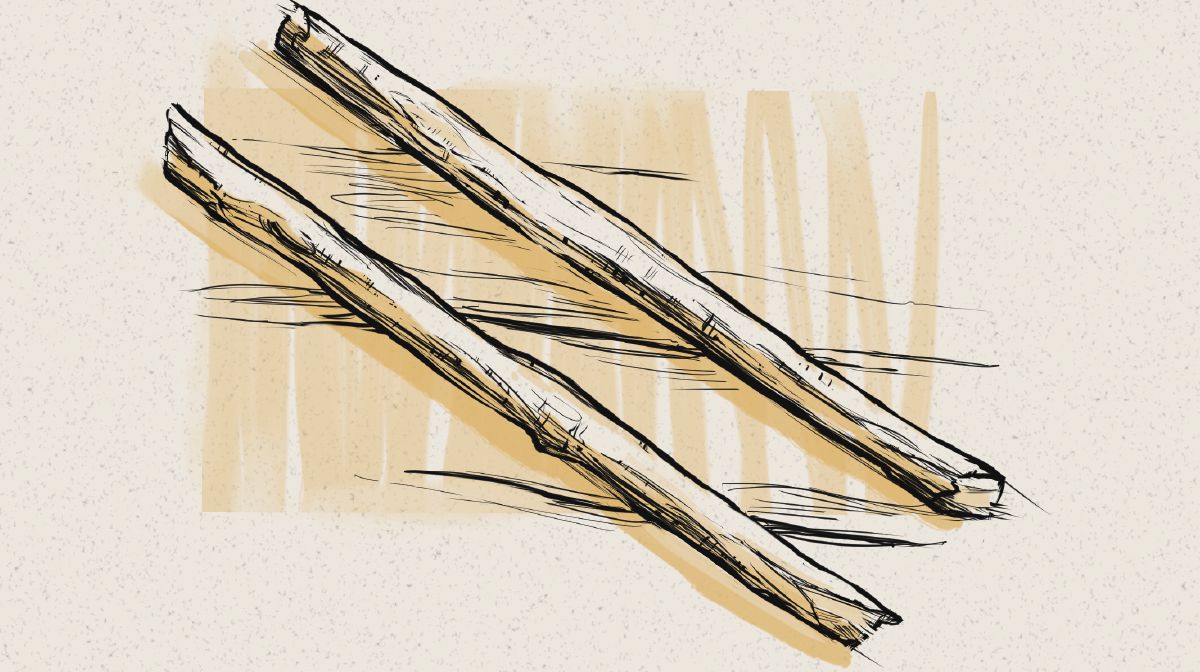 Hizqiyalın peyğəmbərliyindəki iki çubuq.