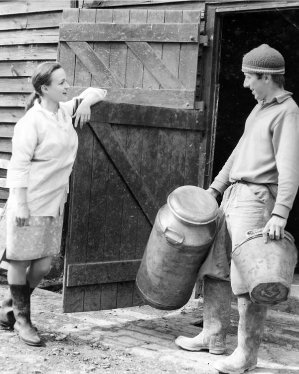 Deyvid və Qven Kartrayt fermada işləyirlər