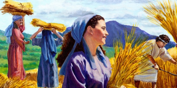 An mga tawo kan panahon kan Biblia nag-aani nin trigo