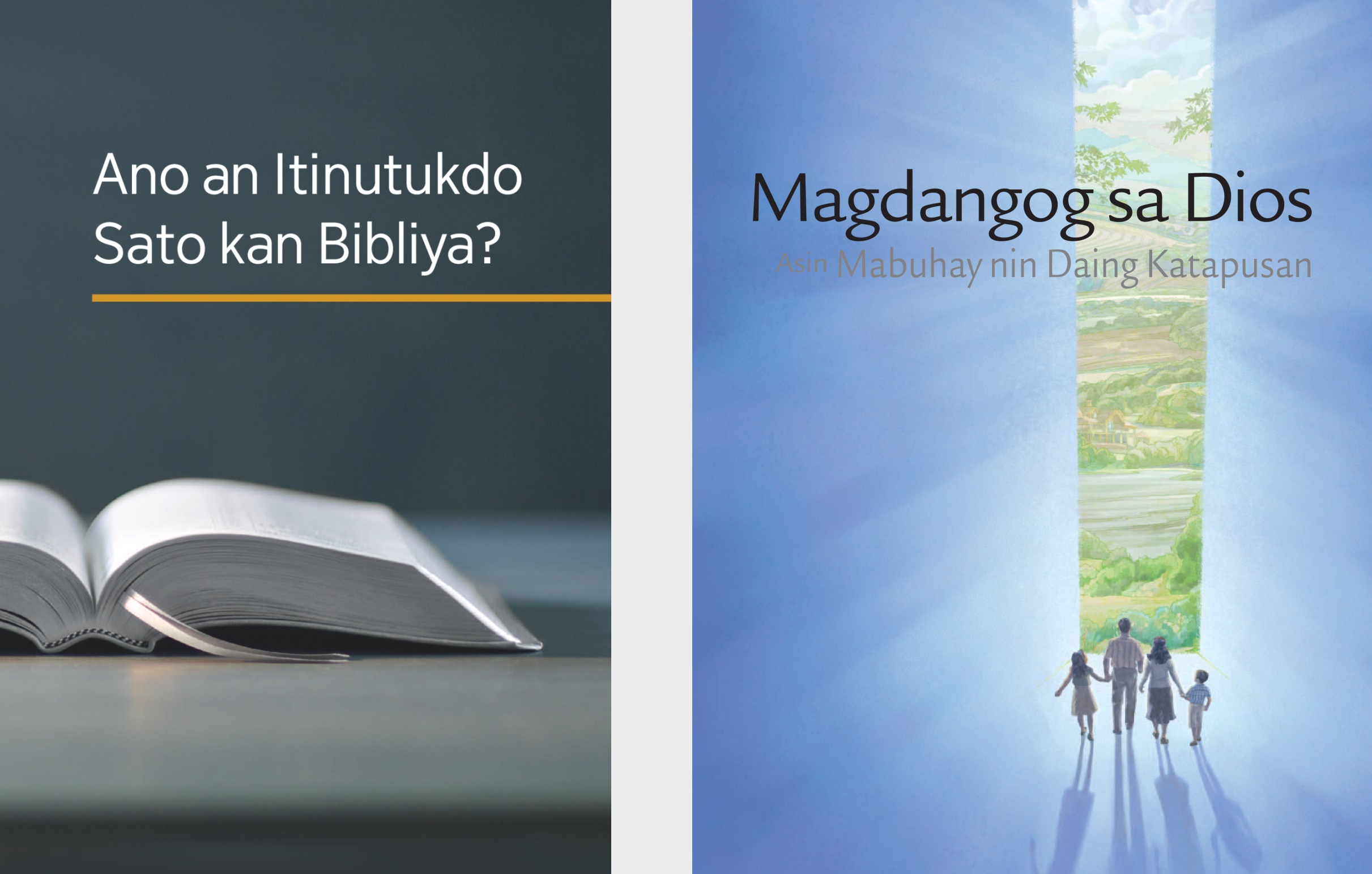 An libro na ‘Ano an Itinutukdo Sato kan Bibliya?’ asin an brosyur na ‘Maogmang Bareta Hale sa Dios!’