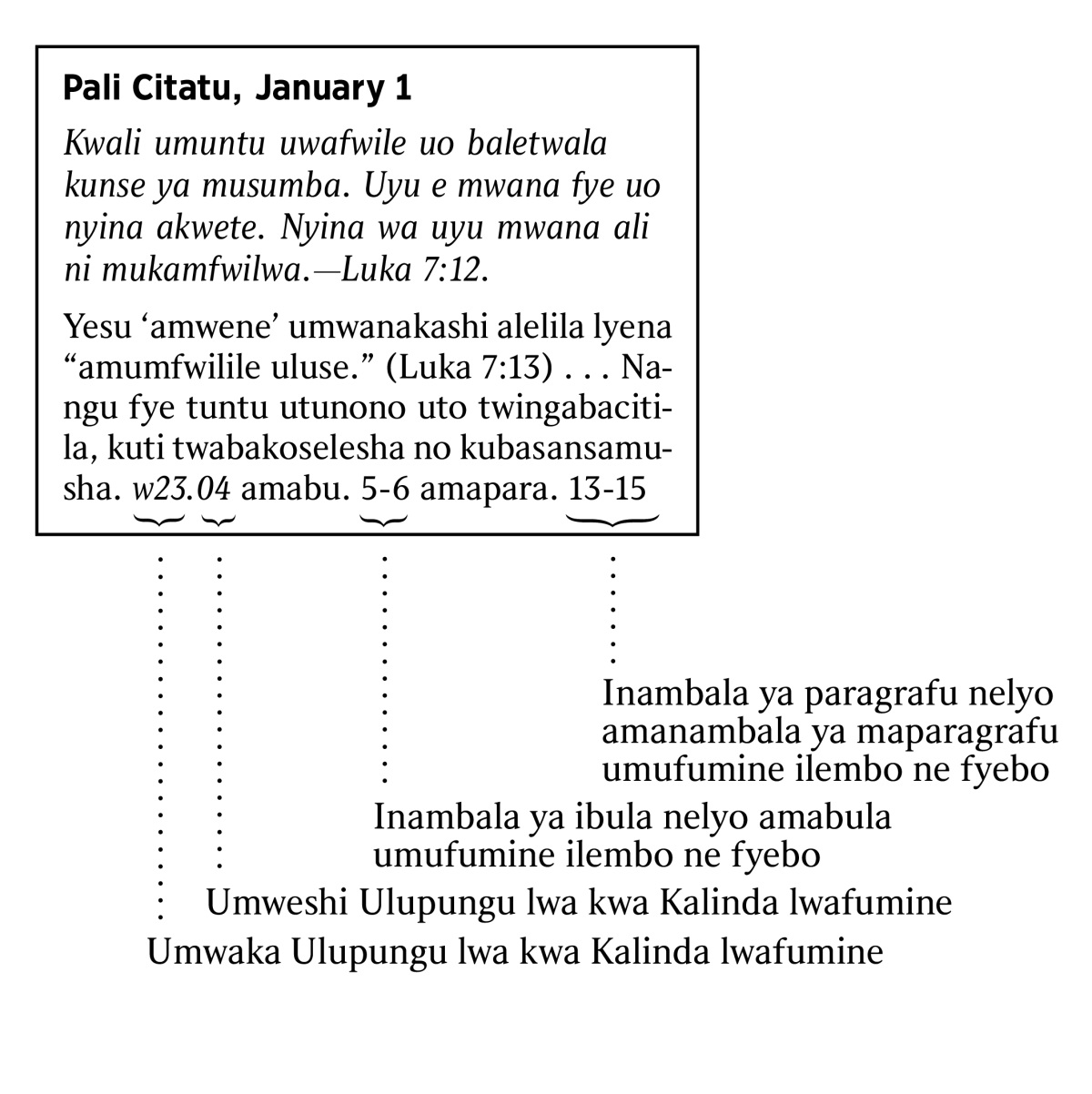 [Icikope pe bula 6]