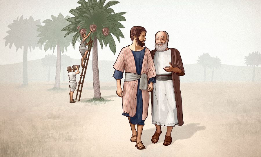 An older man and a younger man walk together near a date palm