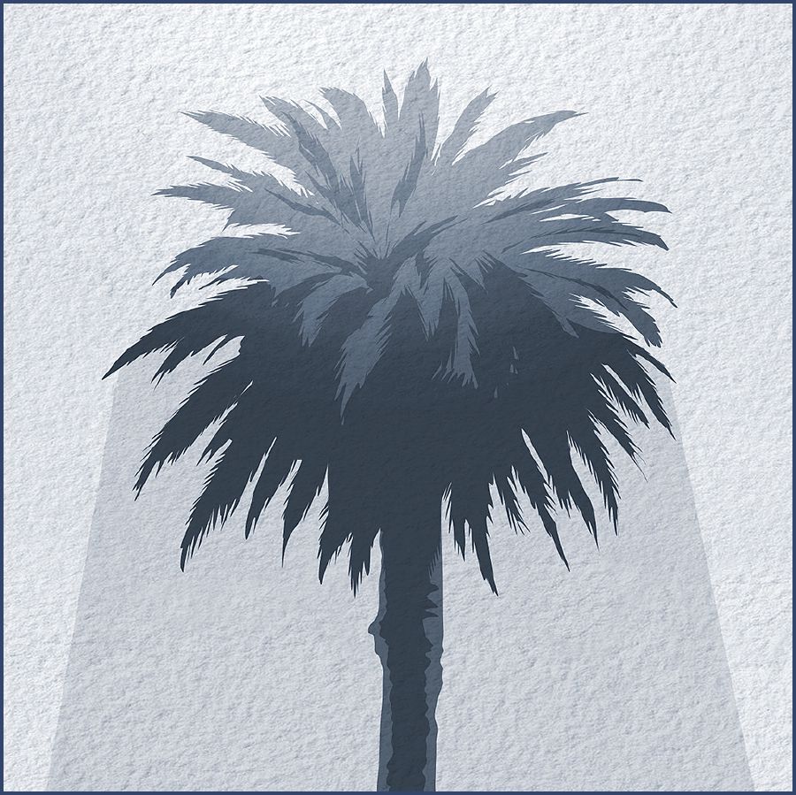 A tree provides shade from the sun