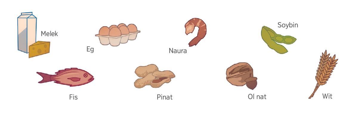 Melek, eg, naura, soybin, fis, pinat, ol nat, mo wit