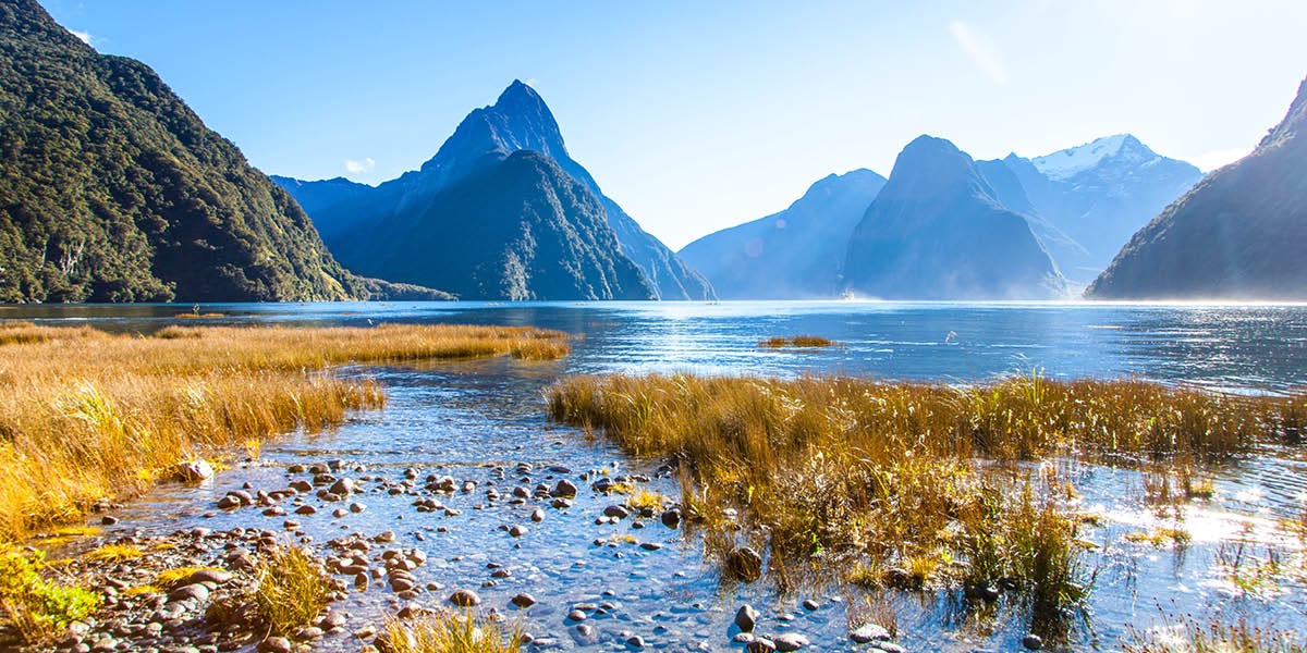 Milford Sound, Niusilan