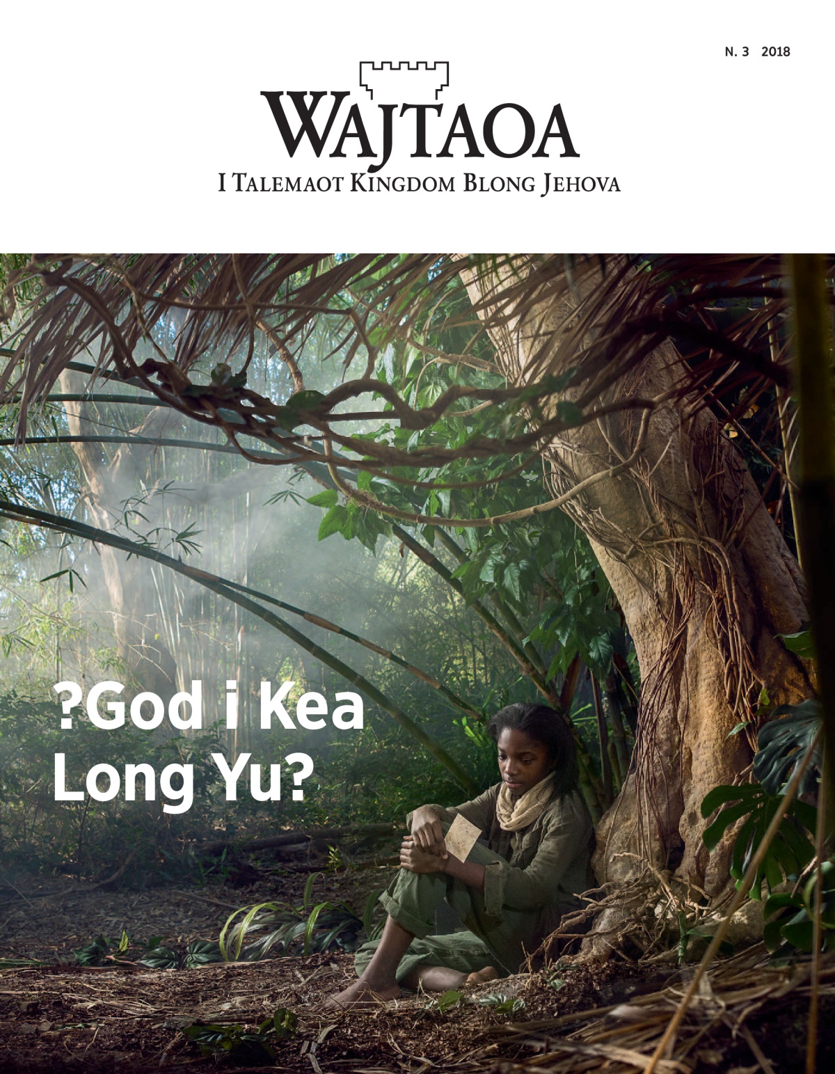 ‘Wajtaoa N. 3 2018.