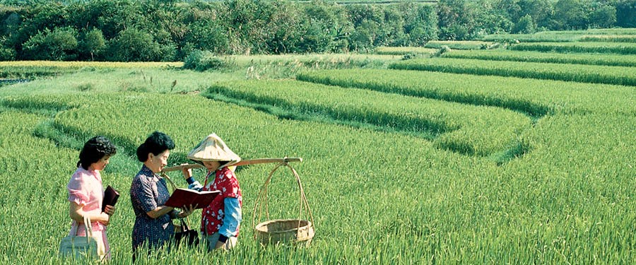 Avbe Osẹe Jehova gha kporhu ma okhuo ọkpa vbe ugbo izẹ