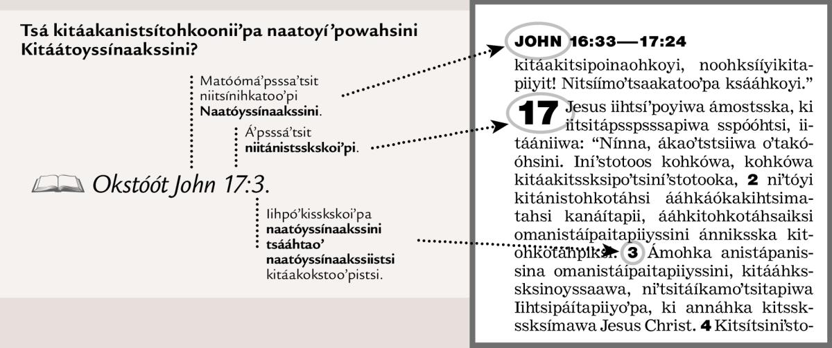 Niitánistssinaiiʼpa  naatóyssínaakssini