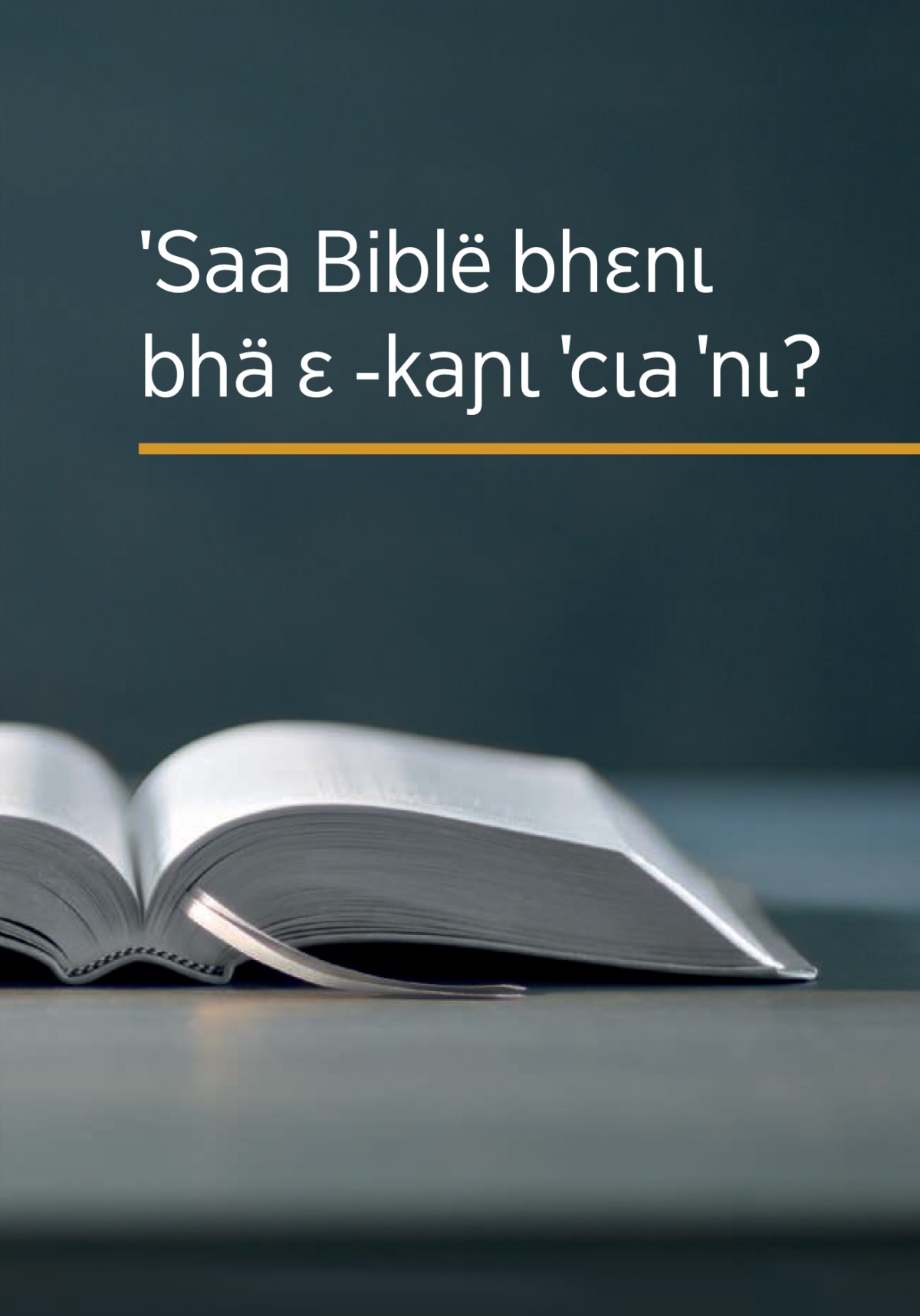 ˈBɔgʋʋ ‘ˈSaa Biblë bhɛnɩ bhä ɛ -kaɲɩ ˈcɩa ˈnɩ?’
