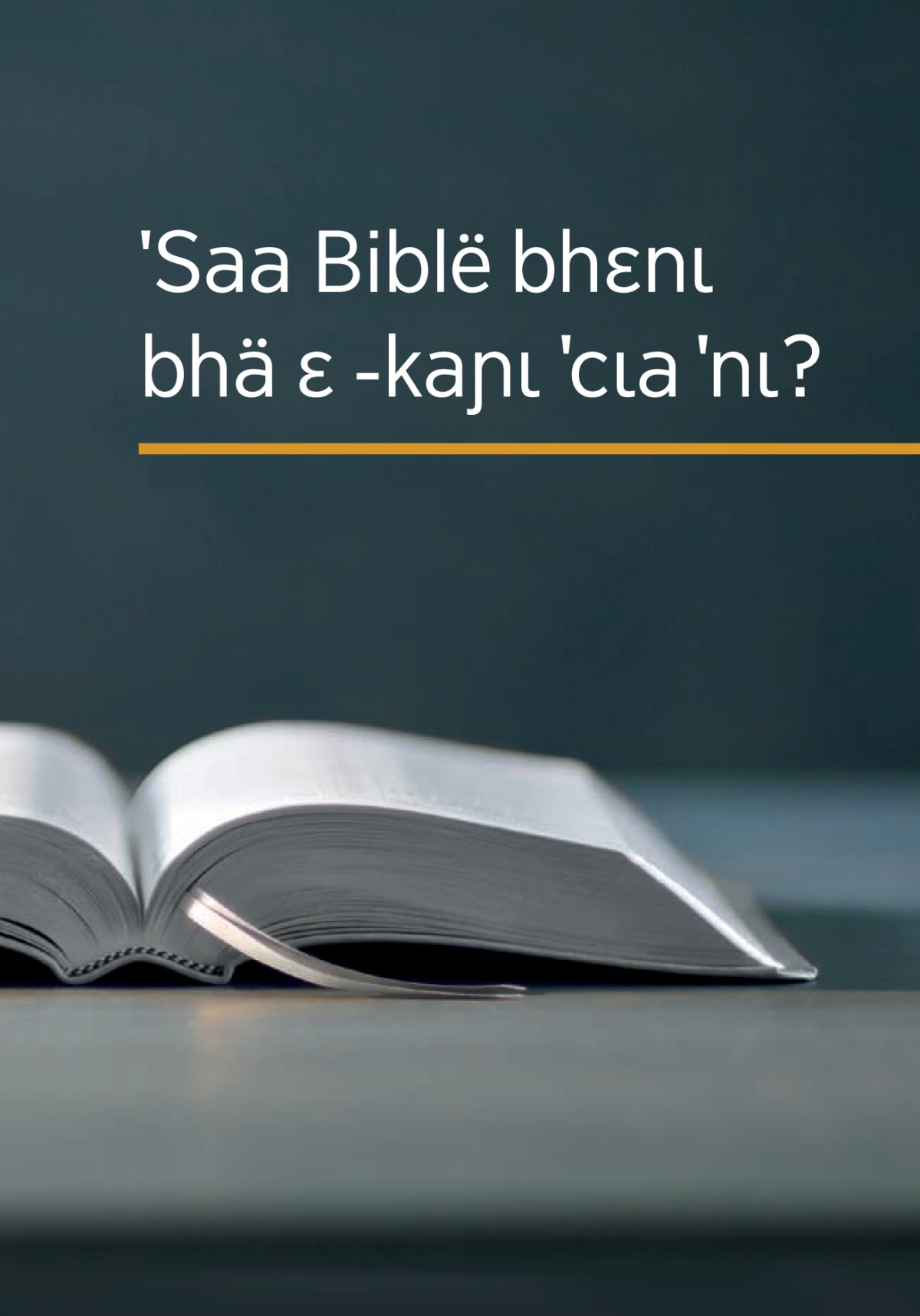 ˈBɔgʋ ‘ˈSaa Biblë bhɛnɩ bhä ɛ -kaɲɩ ˈcɩa ˈnɩ?’