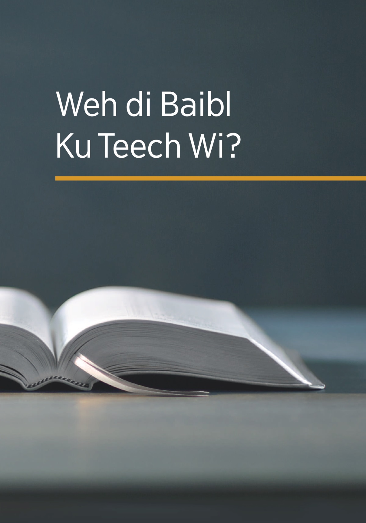 Di buk ‘Weh di Baibl Ku Teech Wi?ʼ