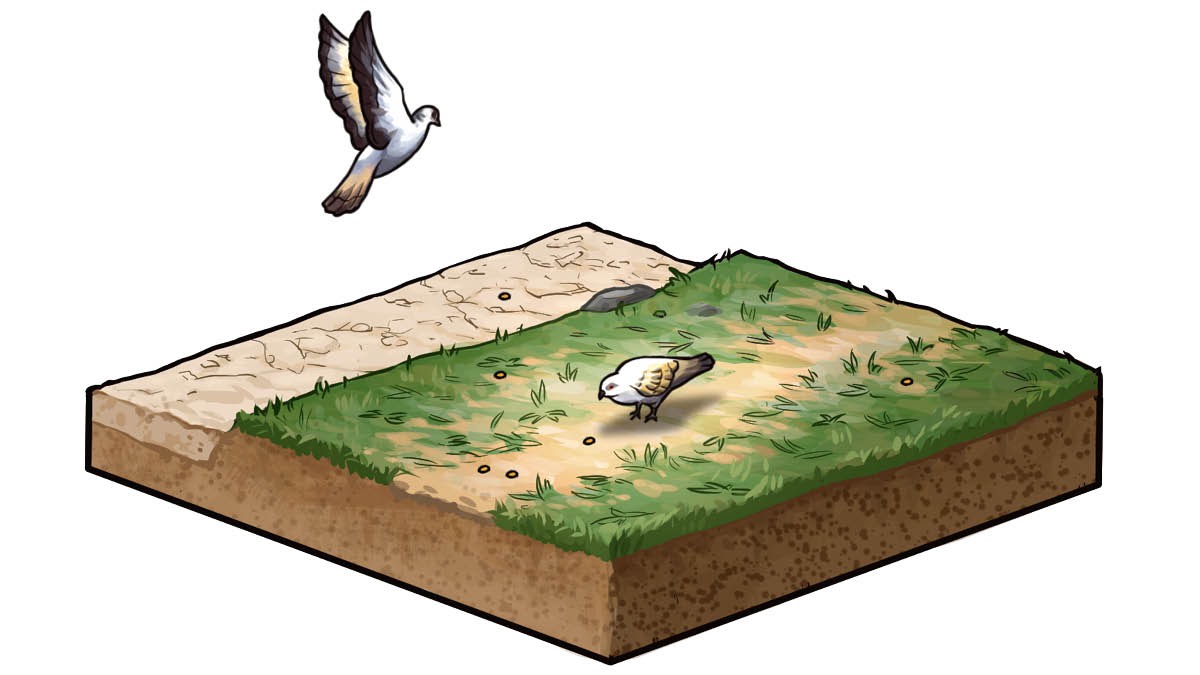 Wahn berd pich pahn soil weh geh waak op pan.