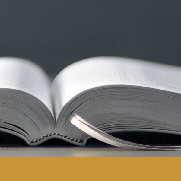 Seção “Verdades da Bíblia“