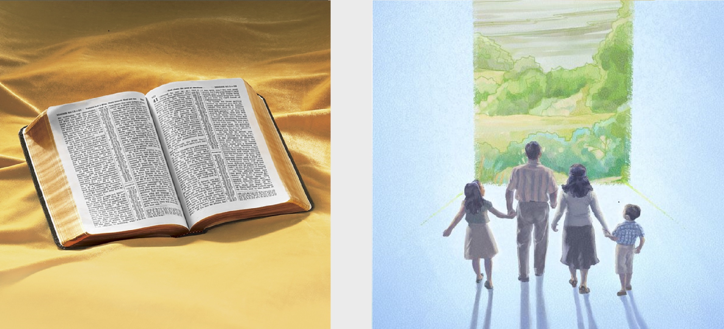 O livro ‘Você Pode Entender a Bíblia!’ e a brochura ‘Escute a Deus e Viva para Sempre’.