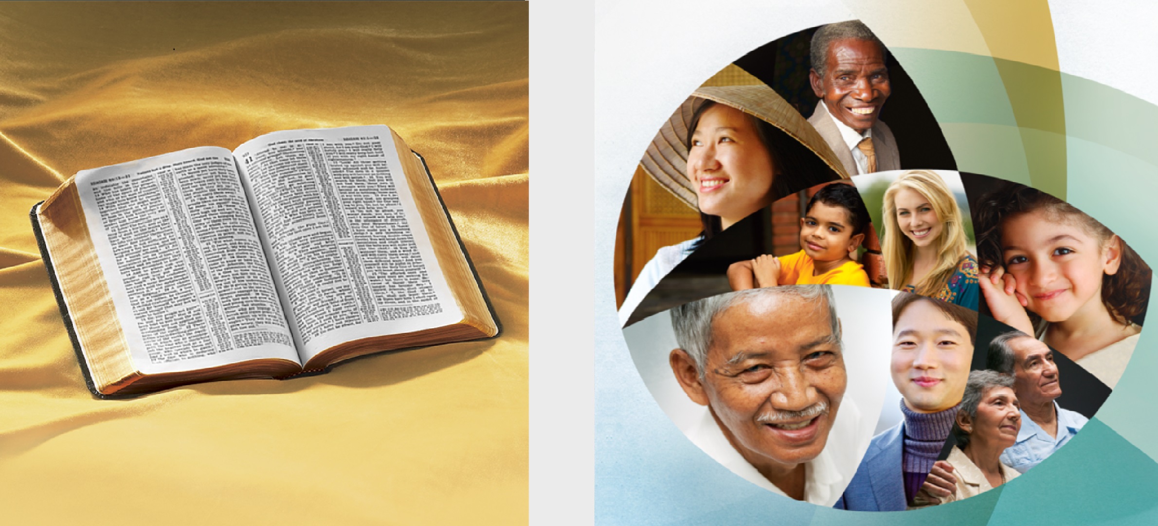 O livro ‘Você Pode Entender a Bíblia!’ e a brochura ‘Boas Notícias de Deus para Você!’.