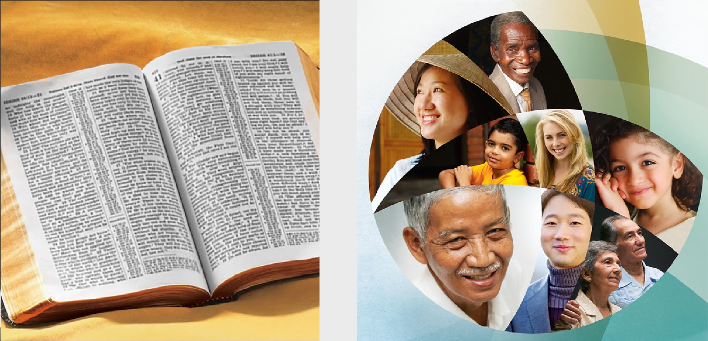 O livro ‘Você Pode Entender a Bíblia!’ A brochura ‘Boas Notícias de Deus para Você!’.