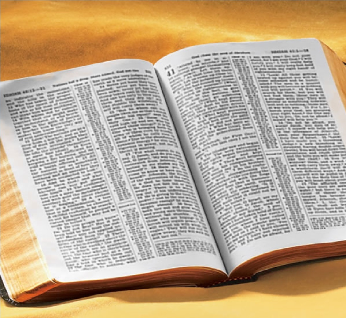 O livro ‘Você Pode Entender a Bíblia!’.