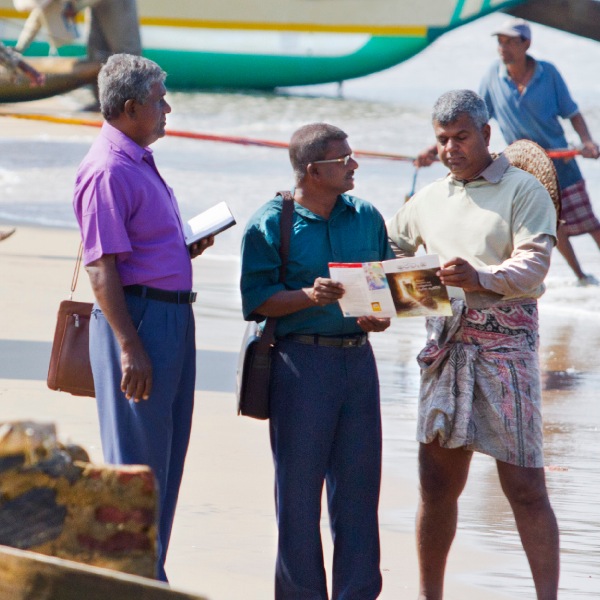 Capa da Edição de Estudo de A Sentinela, 15 de setembro de 2014