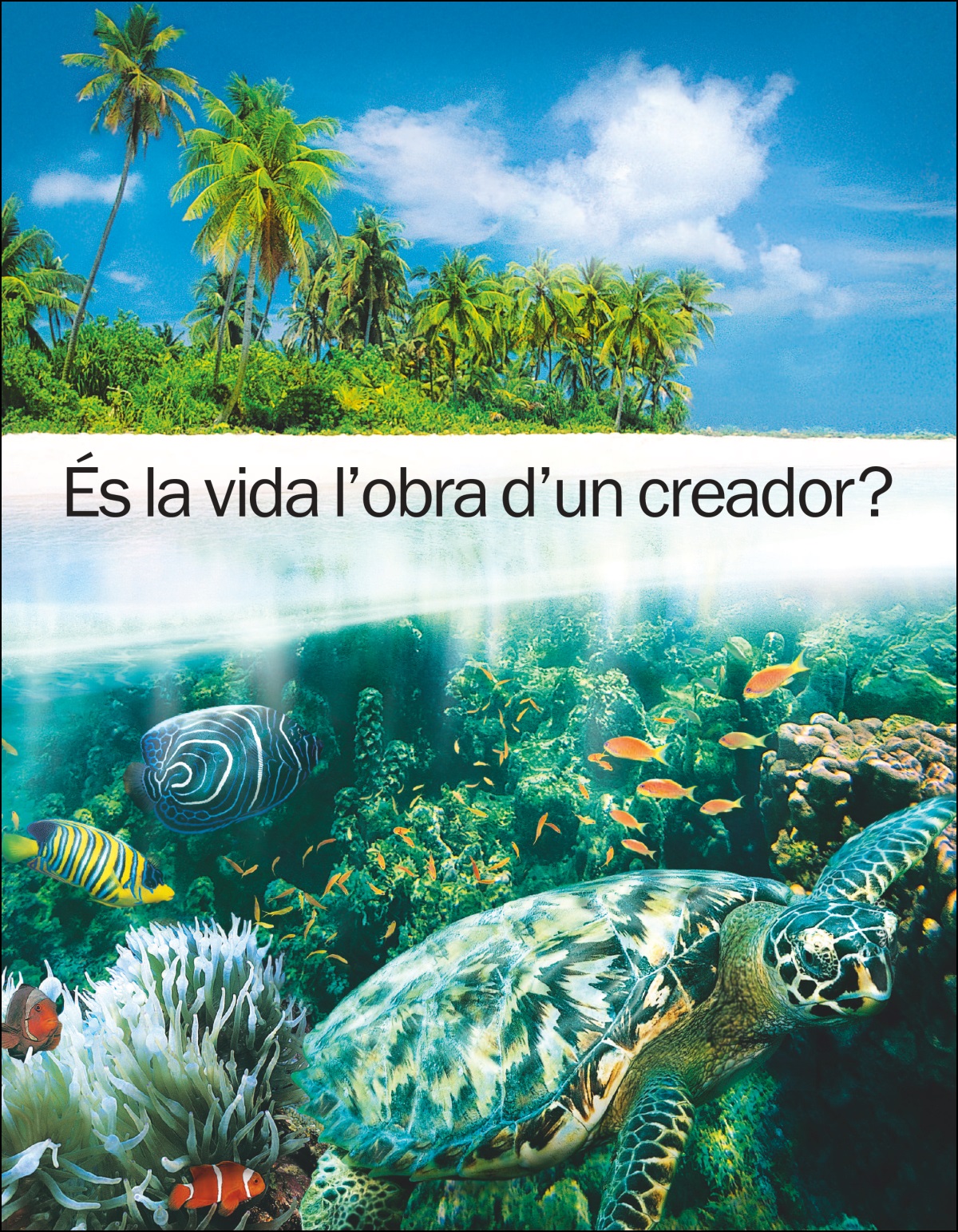 El fullet «És la vida l’obra d’un creador?»