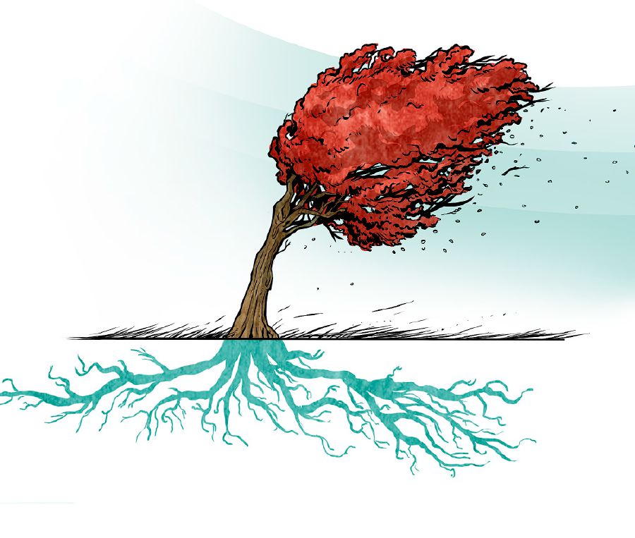 Un arbre ben arrelat suporta una forta tempesta